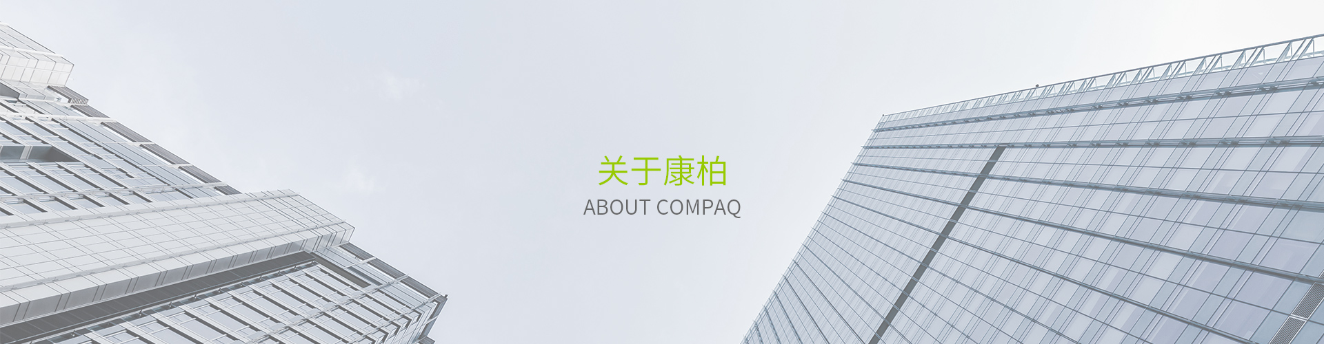 關於糖心视频在线观看